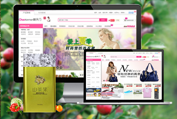 ��ԭ�������̳�