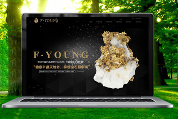 ��ԭ�������ﱦʯ